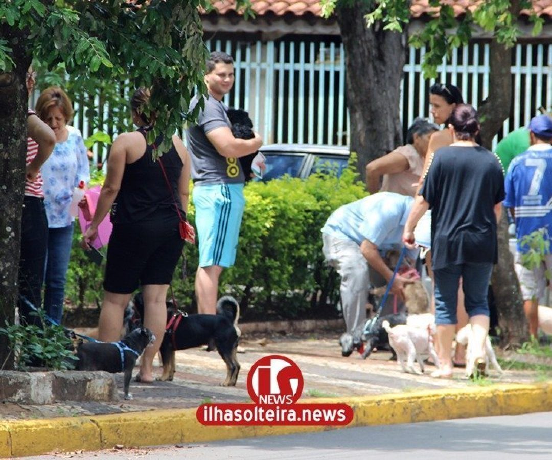 ilha-solteira-news-vacinacao-contra-raiva-antirrabica