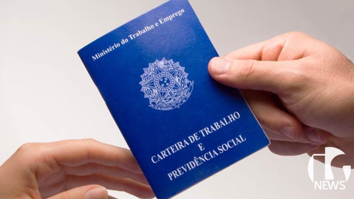 ilha-solteira-news-vagas-de-emprego