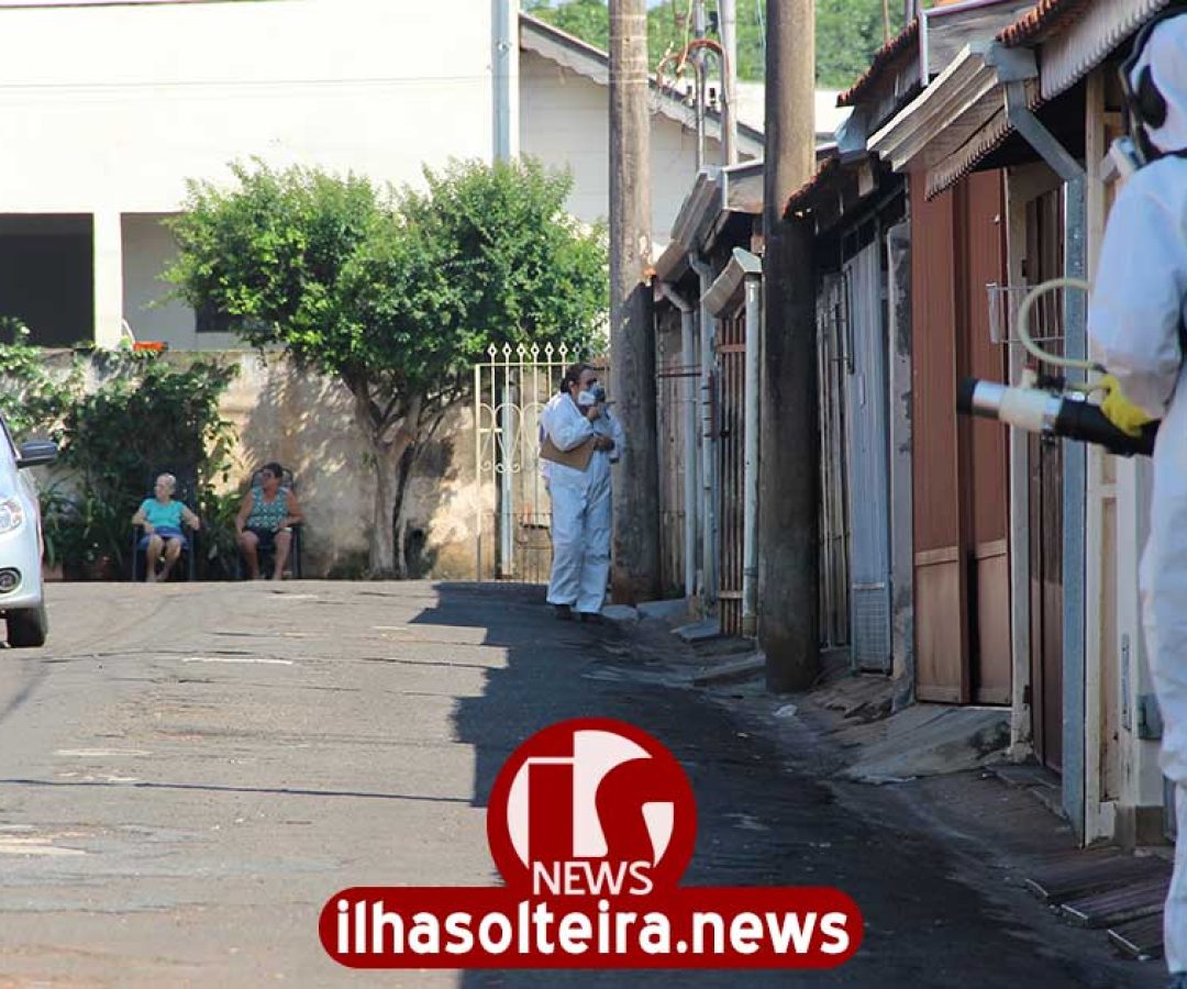 ilha-solteira-news-veneno-dengue ilha-solteira-news-veneno-dengue