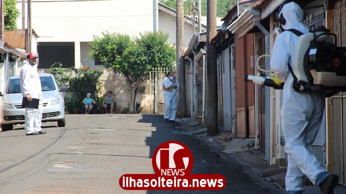 ilha-solteira-news-veneno-dengue