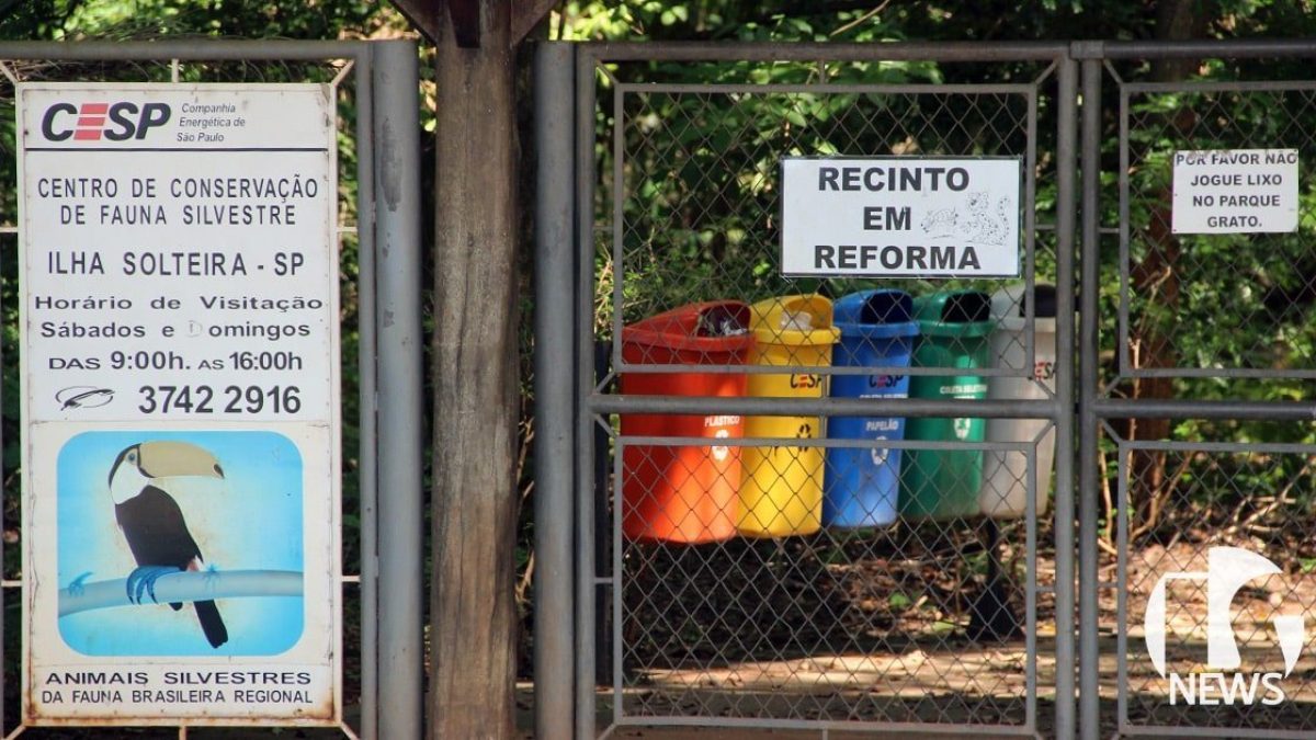 ilha-solteira-news-zoologico-deve-reabrir-na-primeira-quinzena-de-novembro-min