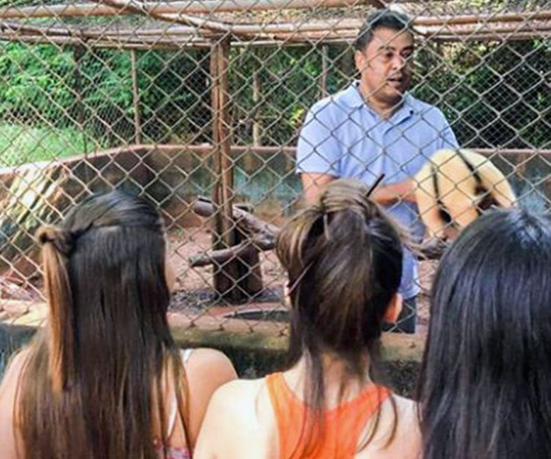 ilha-solteira-news-zoologico-unoeste ilha-solteira-news-zoologico-unoeste