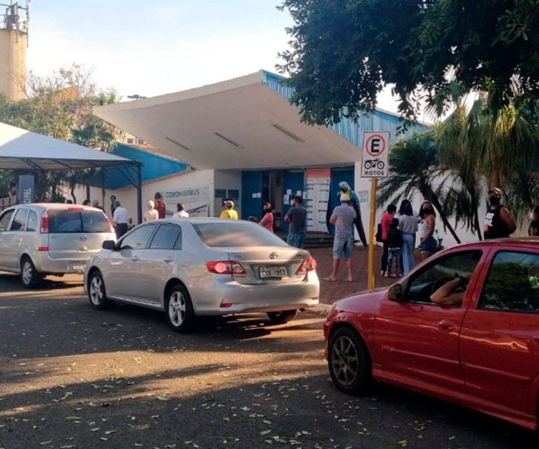 ilhanews distribuição de mudas marca dia do meio ambiente ilha solteira