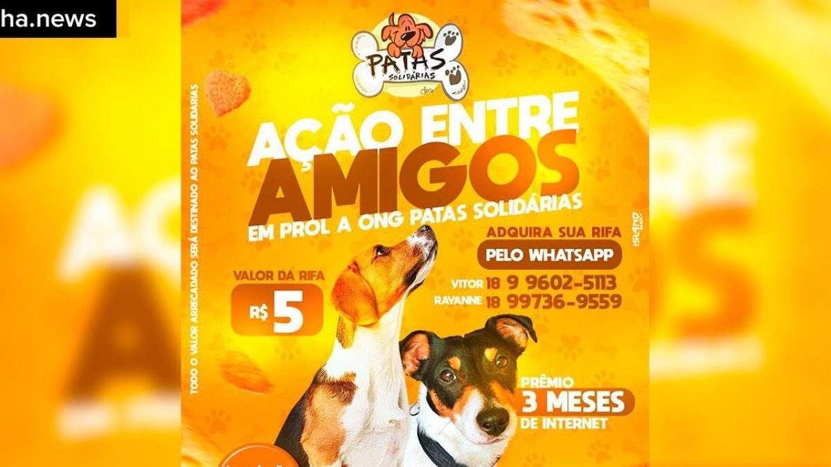 ilhanews goodnet oferece 3 meses de internet em rifa em prol do patas solidárias ilha solteira