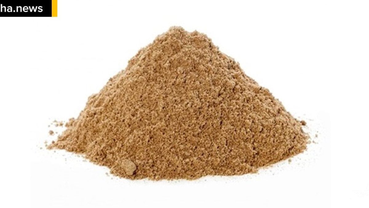 ilhanews-homem-com-marreta-invade-casa-tenta-agredir-morador-ilha-solteira