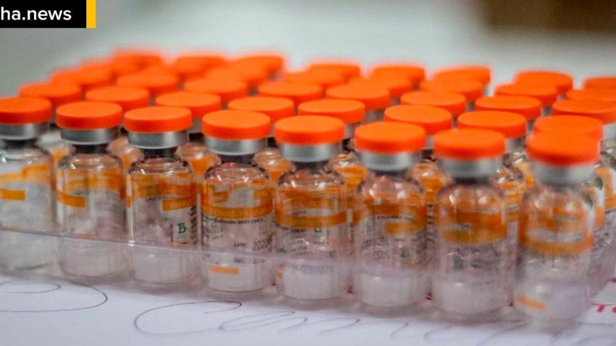 ilhanews-maior-lote-vacinas-covid-19-vacinacao-acima-69-anos-ilha-solteira