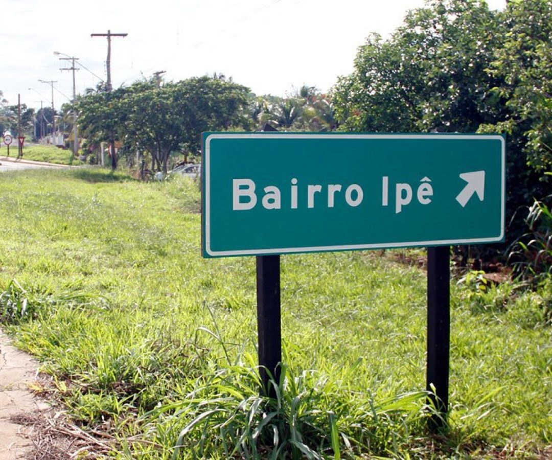 ilhanews pitbull ataca criança de 10 anos no bairro ipê ilha solteira