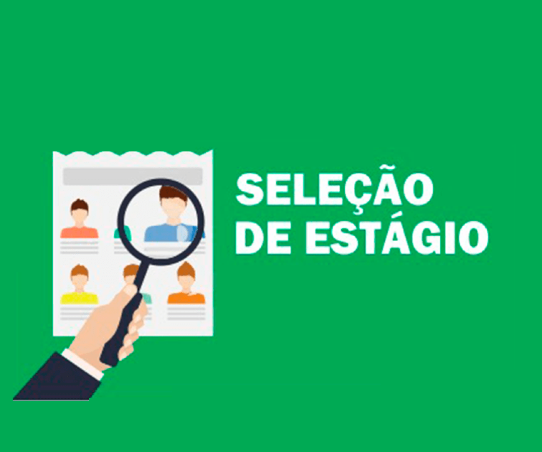 ilhanews procon de ilha solteira abre vaga de estágio