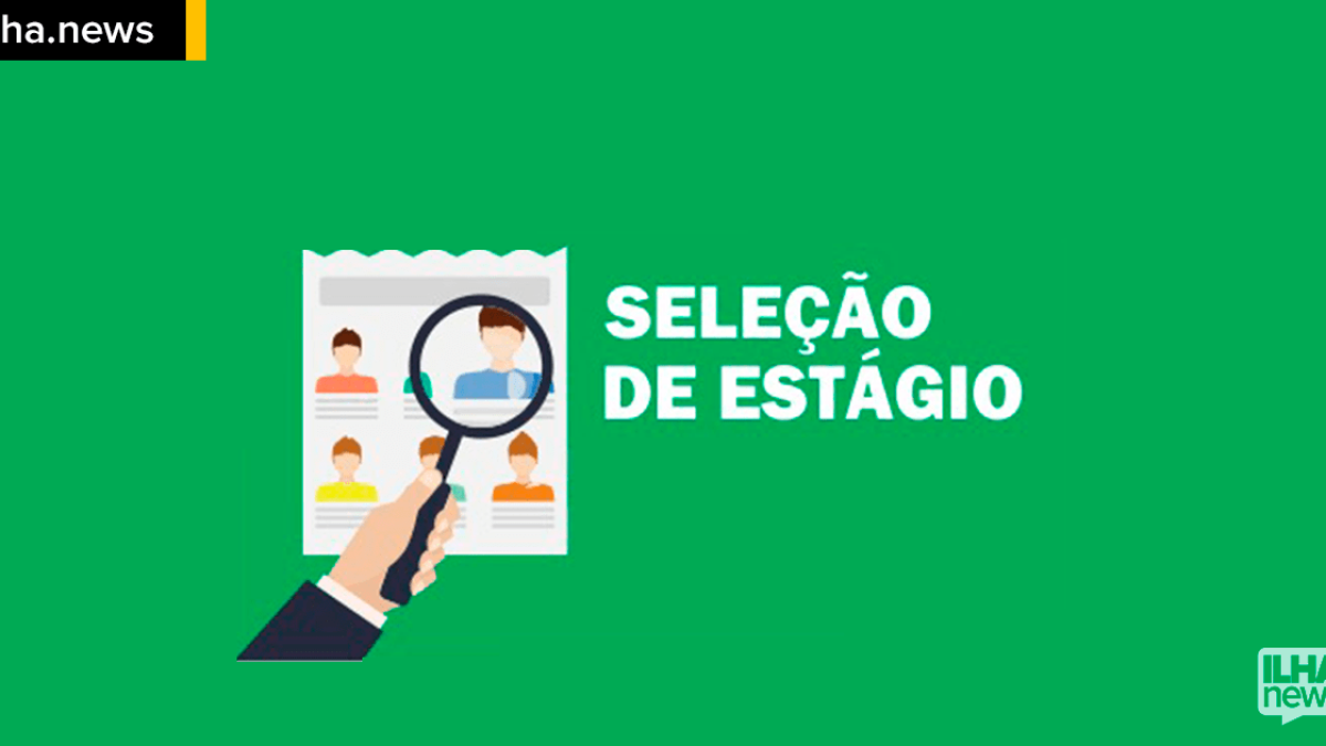 ilhanews procon de ilha solteira abre vaga de estágio