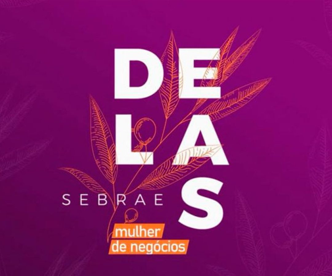 ilhanews-sebrae-delas-ilha-solteira