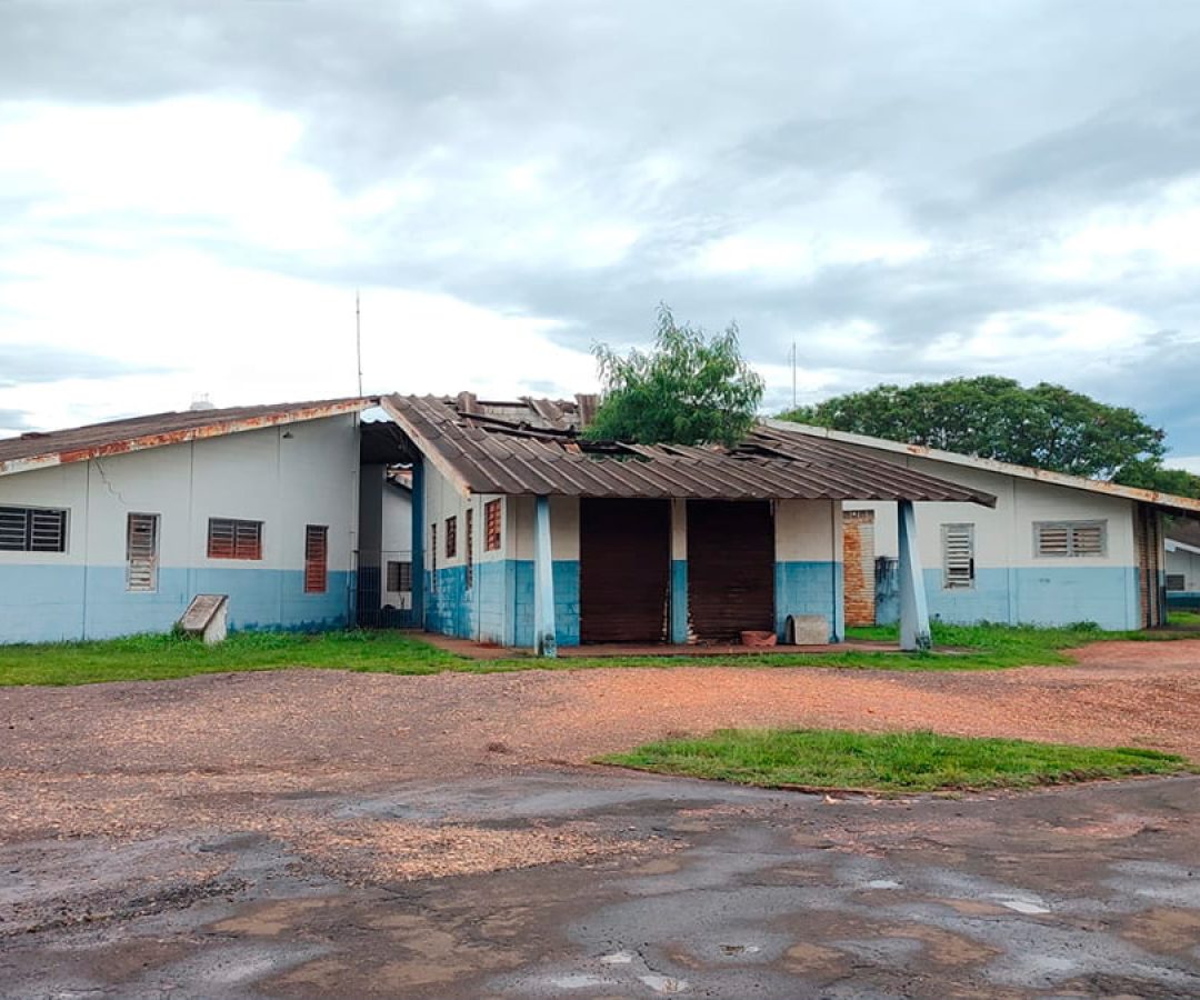 licitacao-incubadoras-ilha-solteira-news