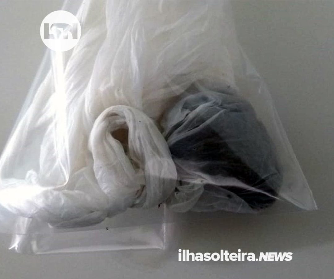 mae-maconha-maus-tratos-hotel-ilha-solteira-news mae-maconha-maus-tratos-hotel-ilha-solteira-news