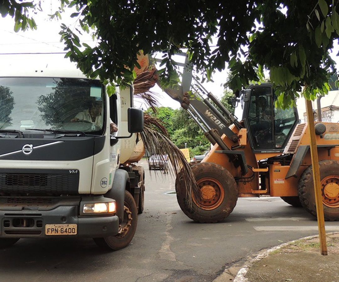 mutirao-limpeza-ilha-limpa-site-ilha-news