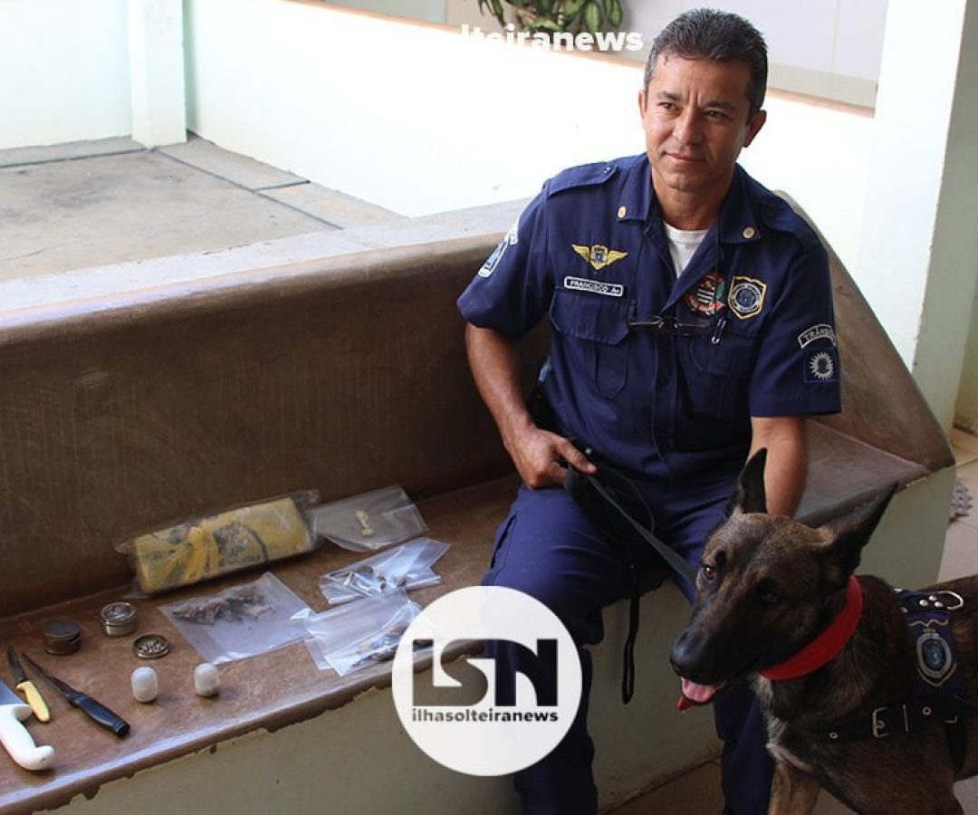 operacao-braddock-trafico-de-drogas-estupro-ilha-solteira-news operacao-braddock-trafico-de-drogas-estupro-ilha-solteira-news