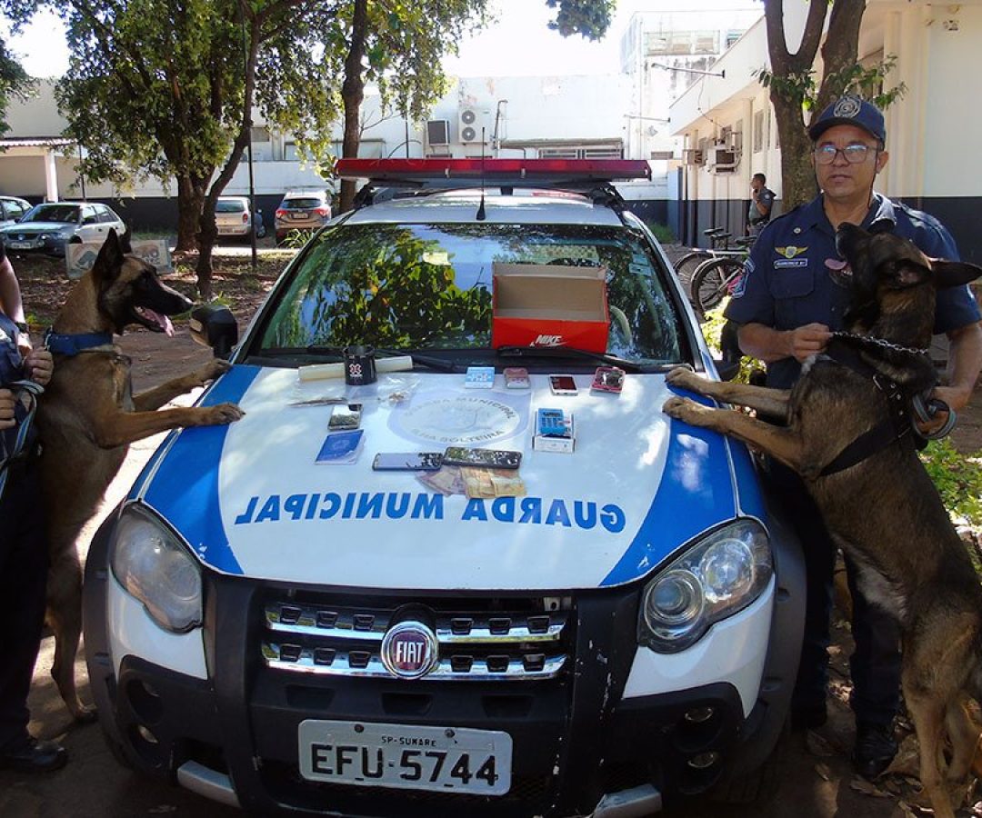operacao-policial-contra-trafico-canil-guarda-municipal-ilha-solteira-ilha-news