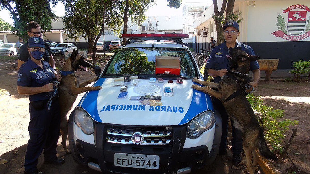 operacao-policial-contra-trafico-canil-guarda-municipal-ilha-solteira-ilha-news