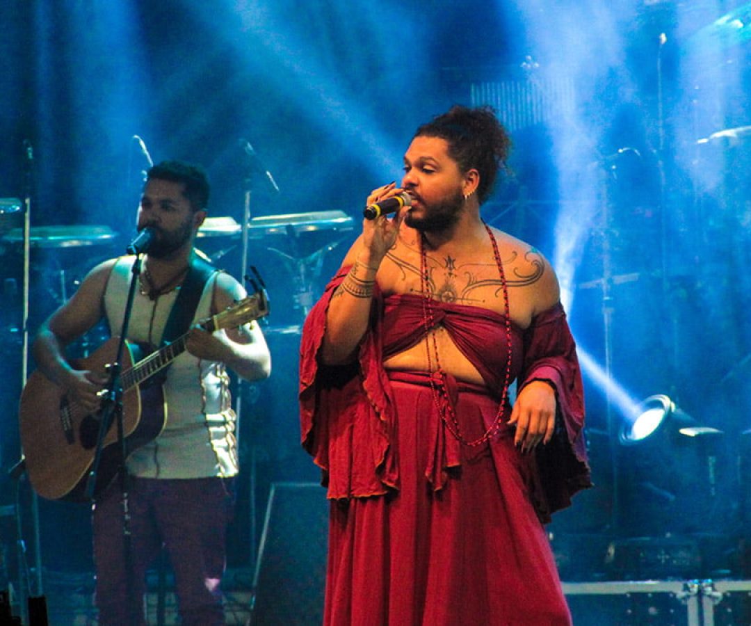 passaro-vivo-festival-nacional-mpb-ilha-solteira-news