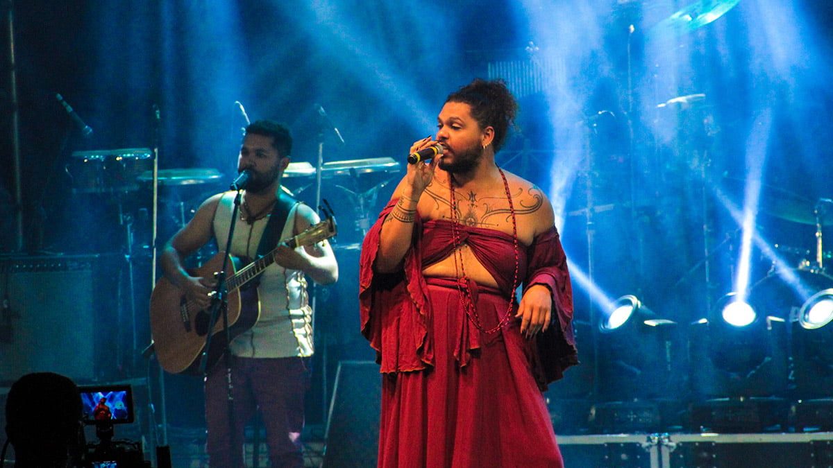 passaro-vivo-festival-nacional-mpb-ilha-solteira-news