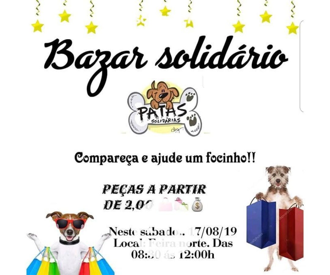 patas-solidarias-bazar-beneficente-ilha-solteira-news