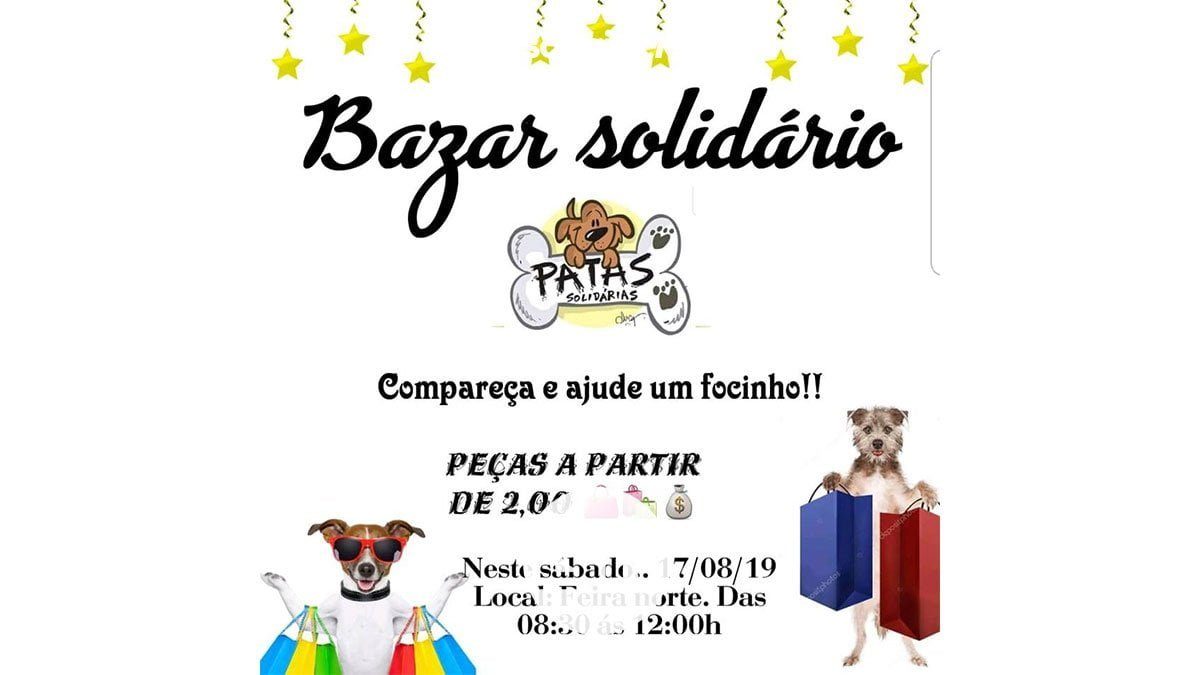 patas-solidarias-bazar-beneficente-ilha-solteira-news