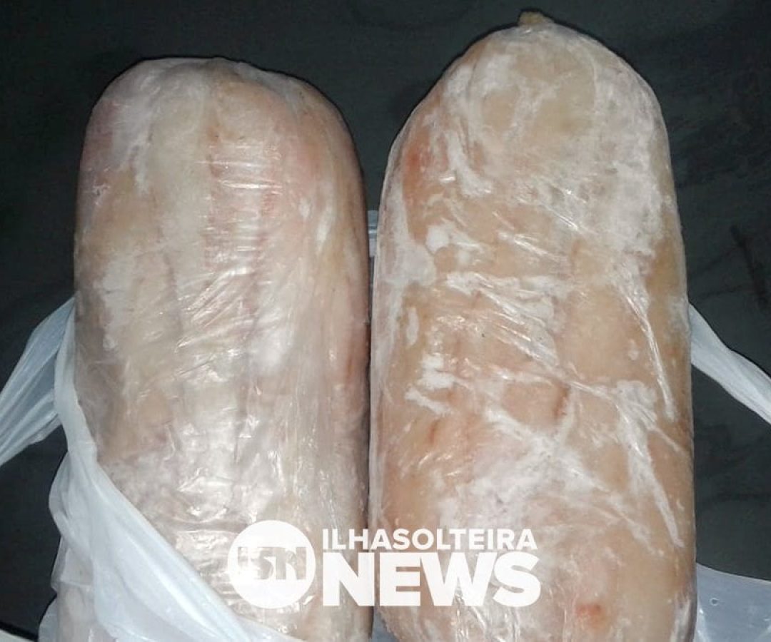 peixe-furtado-recuperado-policia-militar-ilha-solteira-news