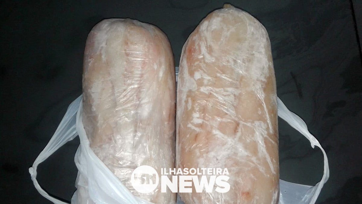 peixe-furtado-recuperado-policia-militar-ilha-solteira-news