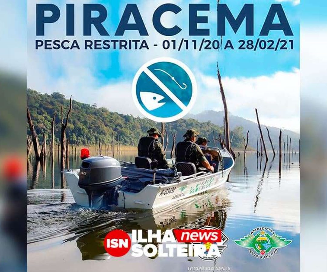 piracema-policia-militar-ambiental-rio-parana-ilha-solteira-news