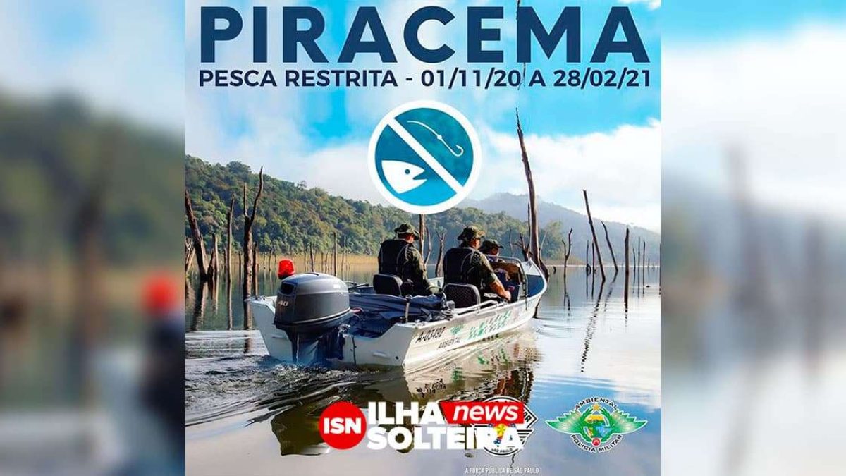 piracema-policia-militar-ambiental-rio-parana-ilha-solteira-news