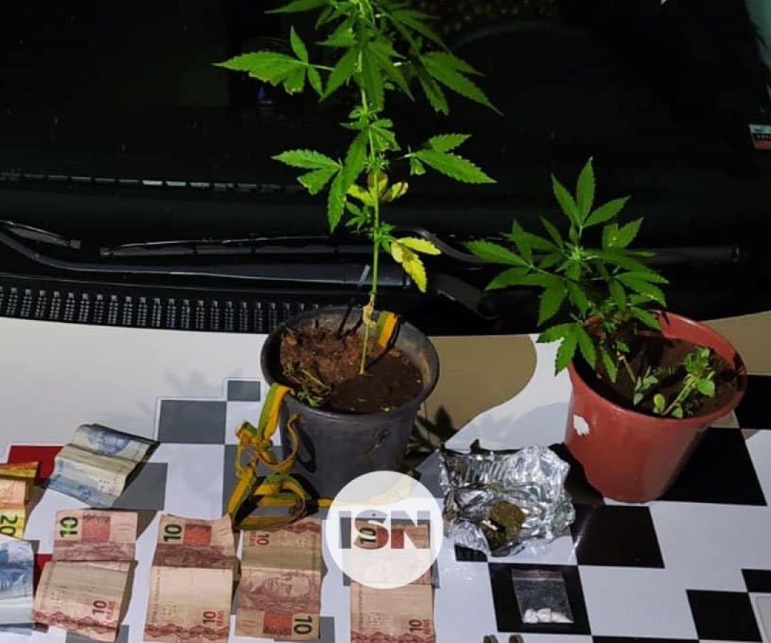 policia-militar-apreende-pes-maconha-ilha-solteira-news policia-militar-apreende-pes-maconha-ilha-solteira-news