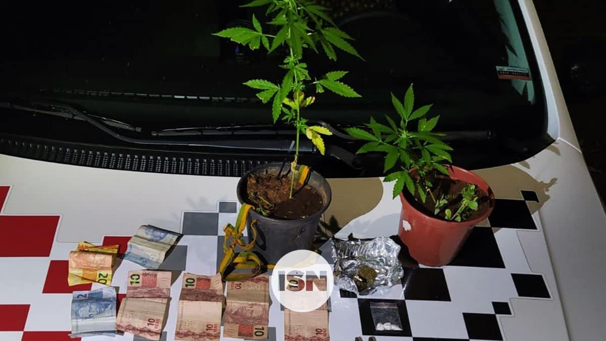 policia-militar-apreende-pes-maconha-ilha-solteira-news