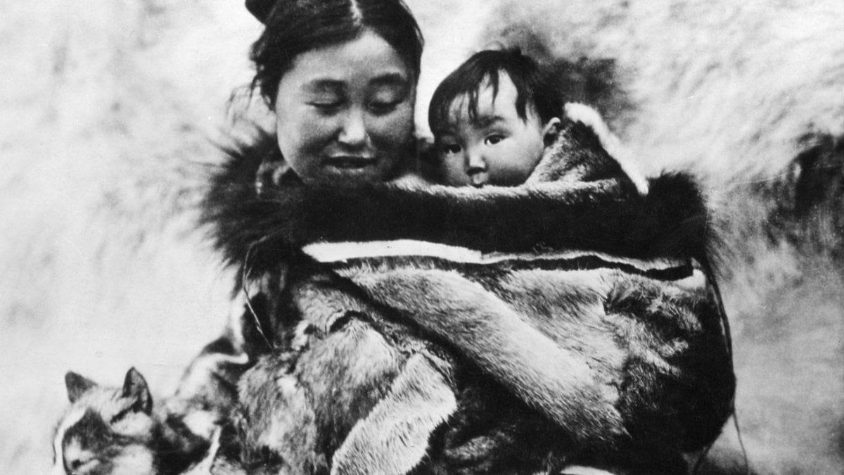 ponto-mis-on-line-nanook-esquimo-ilha-solteira-news