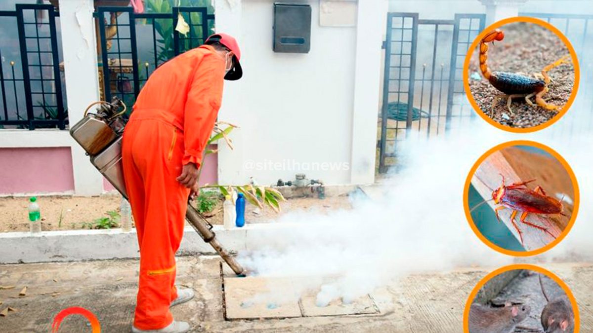 prefeitura aplica veneno contra escorpião barata e rato