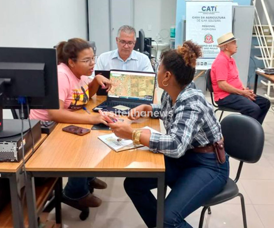 produtores de ilha solteira atendidos