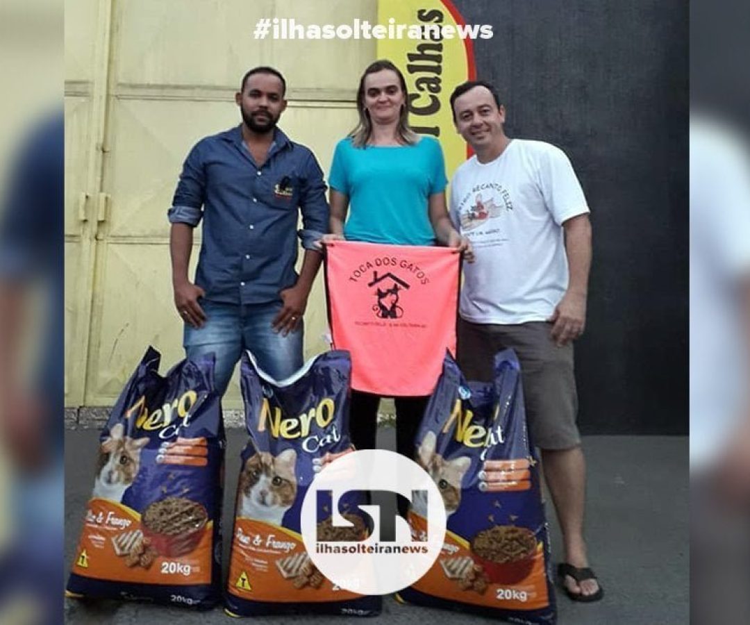 publicacao-solidaria-grupos-facebook-abrigo-toca-dos-gatos-ilha-solteira-news