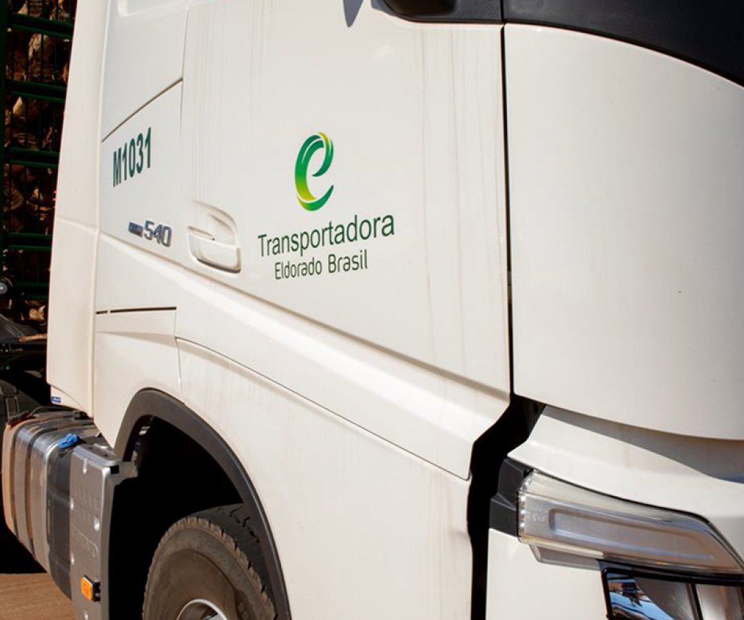 site-ilha-news-eldorado-brasil-seleciona-motorista-tritem-tres-lagoas-ilha-solteira