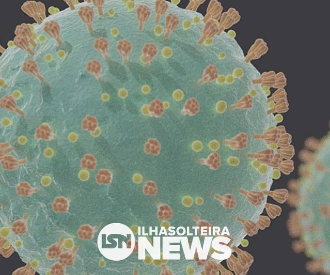 testes-rapidos-novo-coronavirus-covid-19-unesp-usp-unicamp-ilha-solteira-news