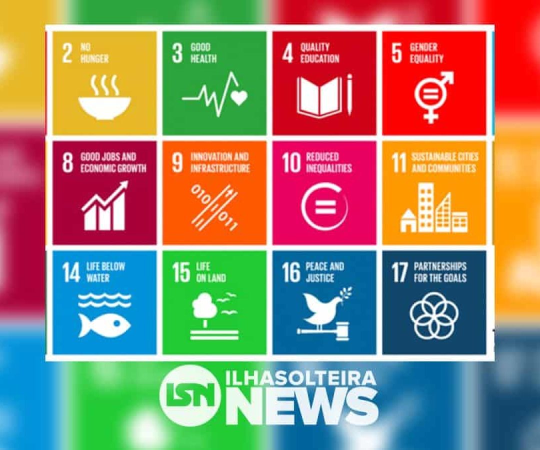 the-impact-ranking-impacto-social-unesp-ilha-solteira-news