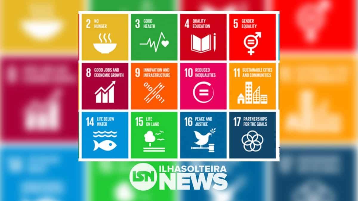 the-impact-ranking-impacto-social-unesp-ilha-solteira-news