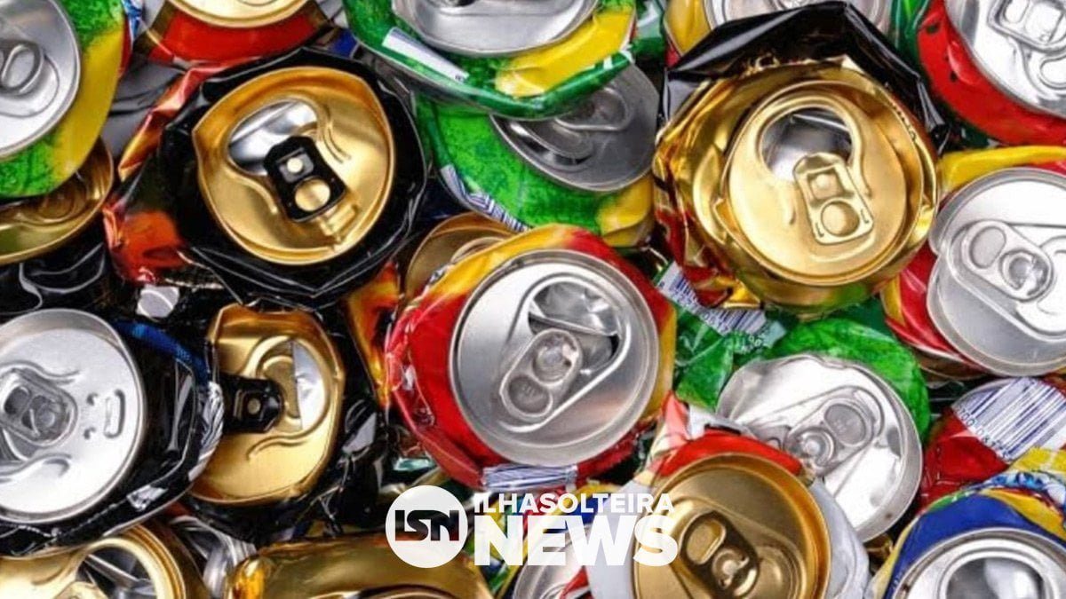 toca-dos-gatos-denuncia-furto-de-latinhas-ilha-solteira-new