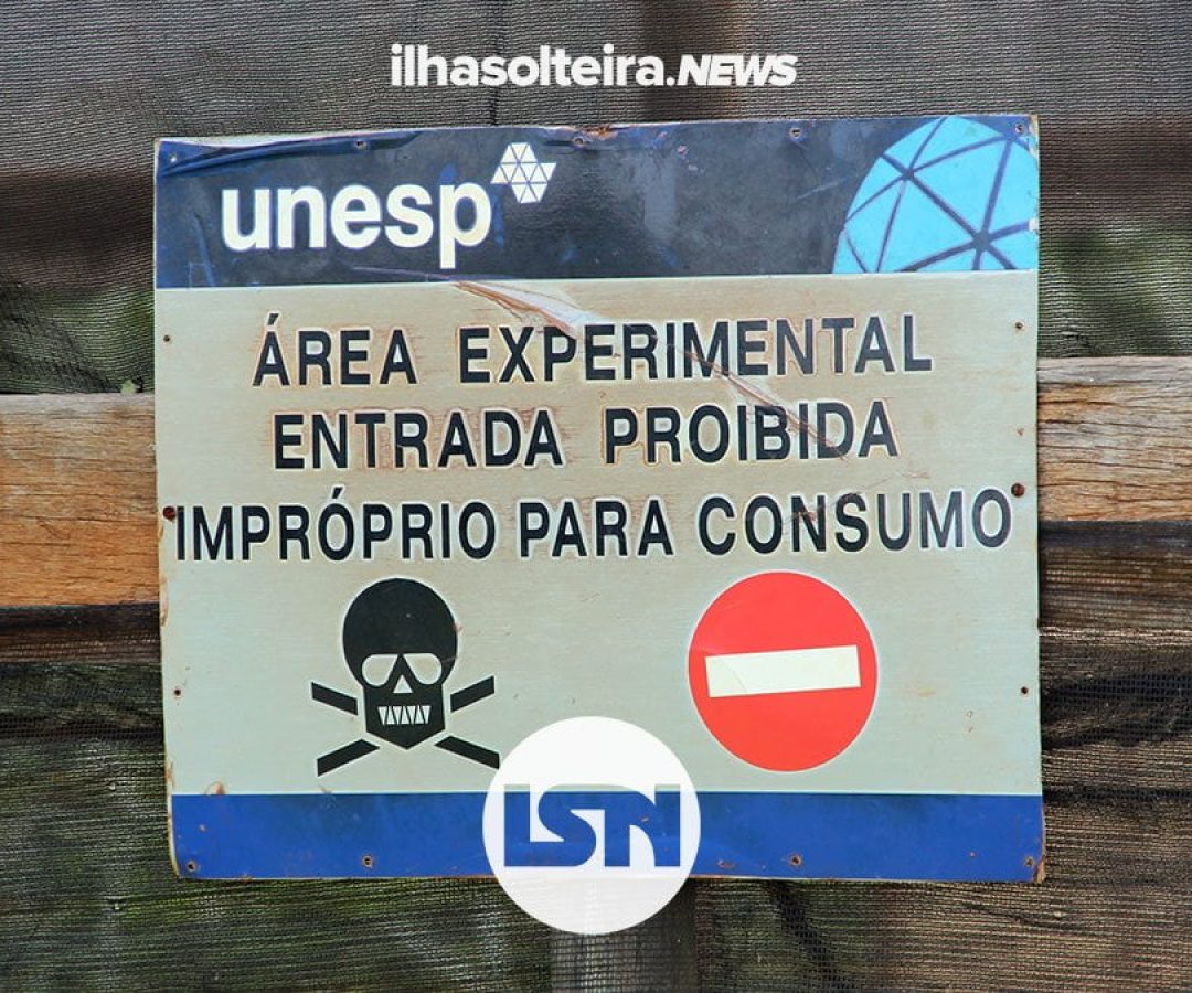 unesp-experimento-peixes-piracanjuba-furto-tentativa-ilha-solteira-news