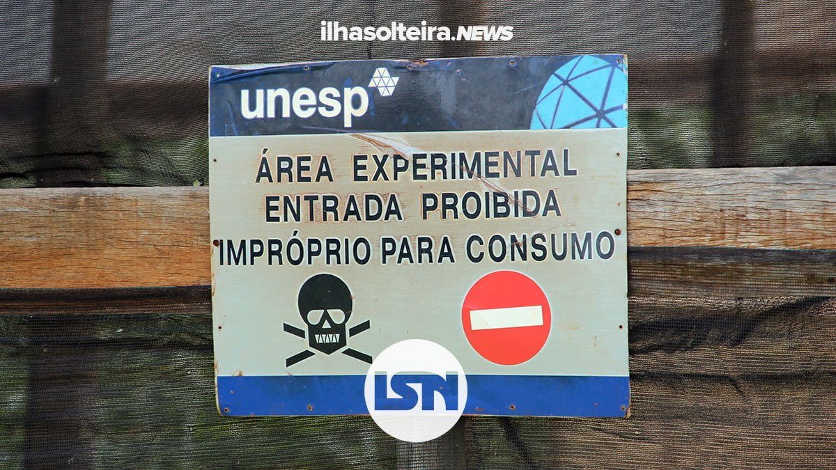 unesp-experimento-peixes-piracanjuba-furto-tentativa-ilha-solteira-news