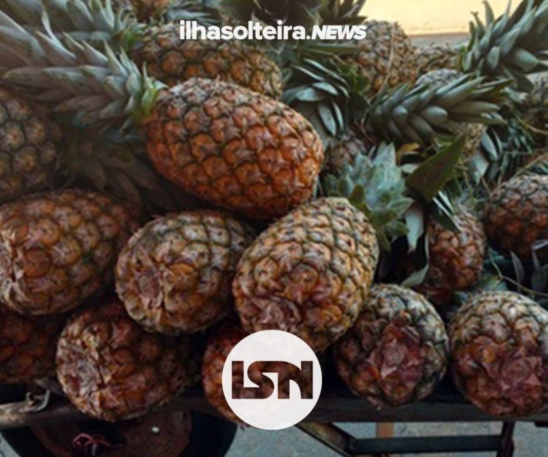 vendedor-abacaxi-maconha-supermercado-guarda-municipal-ilha-solteira-news vendedor-abacaxi-maconha-supermercado-guarda-municipal-ilha-solteira-news