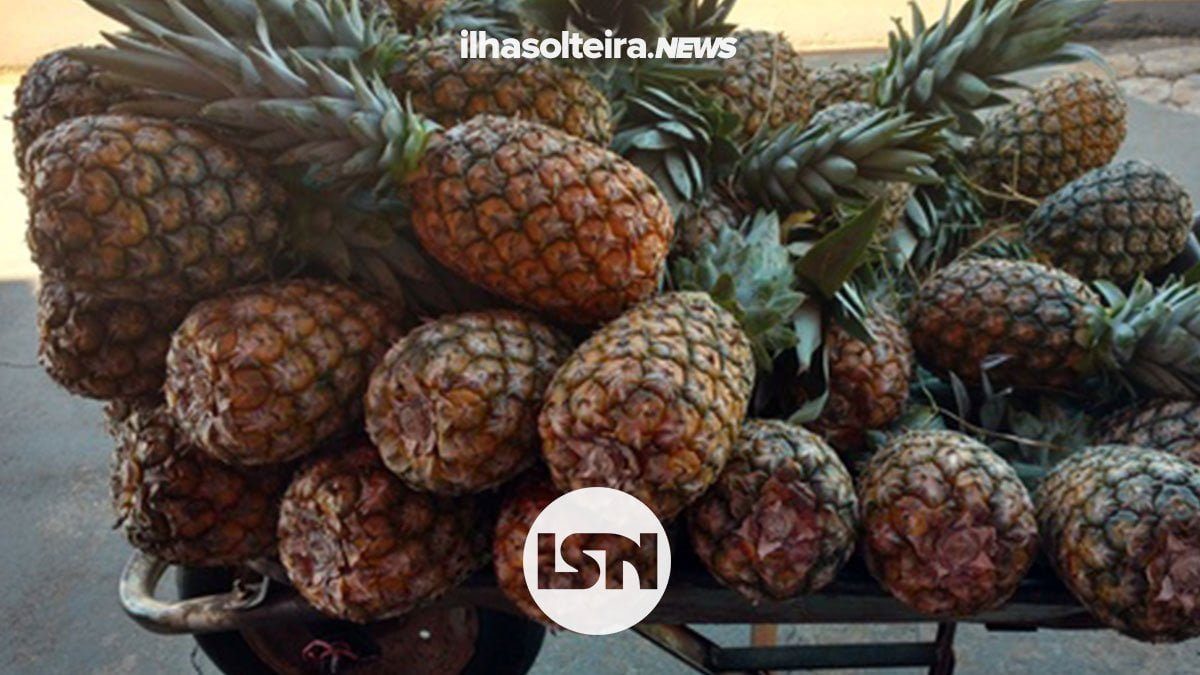 vendedor-abacaxi-maconha-supermercado-guarda-municipal-ilha-solteira-news